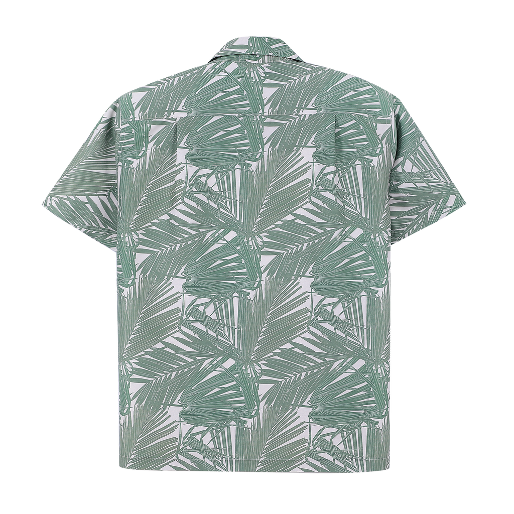PEONY (Fan Palm)
