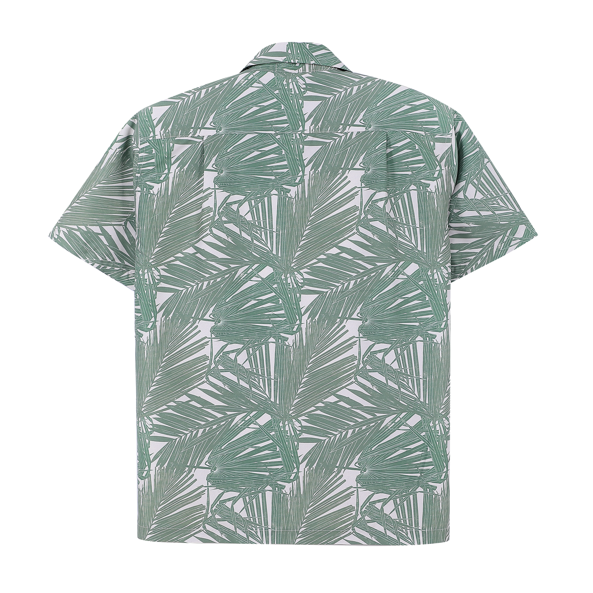 PEONY (Fan Palm)